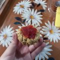El cooksnap de Ema cuando hizo Pepas de avena express.
