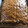 El cooksnap de Bibi_68 cuando hizo Bizcocho de zanahoria y nueces con canela (light).