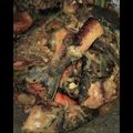 Cooksnap dari Angken Keenan untuk resep Gurame Bumbu Kuning