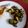 Brenda Ruchel 's cooksnap of when they made Balsamic and Parmesan Broccoli.