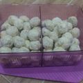 Cooksnap dari Nita Dwi Wanti untuk resep Kue kering susu renyah ala #UmmuDuoF #5resepterbaruku