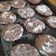 El cooksnap de Jacqueline Pérez cuando hizo Galletitas tipo polvorones de chocolate.