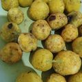 Cooksnap dari Anna.dna untuk resep Bola bola Ubi Lumerrr