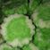Cooksnap dari Enggar Ningtyas untuk resep Putu Ayu Ekonomis