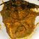 Cooksnap dari IAM KURNIA untuk resep Rendang Daging Sapi