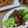 Cooksnap dari Pawon'e Mas Paijo untuk resep Pokcoy siram jamur