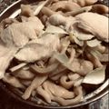 El cooksnap de 🇺🇾 𝓚𝔂𝓸 🇯🇵　🎉JPN-UY 100°ANIVERSARIO 🇺🇾🇯🇵EN 2021🎉 cuando hizo Tofu frito estofado y Nanban de pollo con fideos Udon Japonés QUITSUNE TORINANBAN UDON 🇺🇾🇯🇵きつね鳥南蛮うどん.