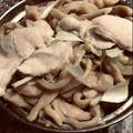 El cooksnap de 🇺🇾 𝓚𝔂𝓸 🇯🇵　🎉JPN-UY 100°ANIVERSARIO 🇺🇾🇯🇵EN 2021🎉 cuando hizo Tofu frito estofado y Nanban de pollo con fideos Udon Japonés QUITSUNE TORINANBAN UDON 🇺🇾🇯🇵きつね鳥南蛮うどん.