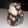 schipele91's cooksnap of when they made Iced/Blended Mocha.
