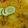 Misbah Anjum's cooksnap of when they made Aloo Biryani 😋.