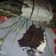El cooksnap de Nancy Scipioni cuando hizo Torta de chocolate con relleno de toffee y chantilly.