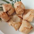 Cooksnap dari Molyn untuk resep Pangsit isi Ayam (Bisa Kukus/Rebus/Goreng) Ide Frozen Food