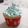 El cooksnap de Silvia Saavedra cuando hizo Cupcakes de vainilla.