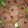 Cooksnap dari Ratih Rusvita untuk resep Chocolate Chocochips Cookies (Teflon)