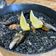 El cooksnap de Jose Navarro cuando hizo Arroz negro 🦐🦑 con allioli.