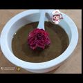 کوک اسنپ Nafas Rezaei بعد از امتحان کردن معجون سیاه❤️.