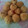 Cooksnap dari Inne Susanto untuk resep Kroket Nasi
