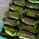 Cooksnap dari Nur Usmawati untuk resep Lemper ayam