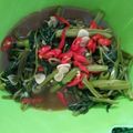 Cooksnap dari Indra Kurniawan untuk resep Tumis Kangkung Saus Tiram