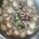 Cooksnap dari Yola Pitaloka untuk resep Kuah Bakso, Mie Ayam, Cilok, dll