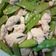 趙蓓蒂 的 豌豆莢炒雞柳 cooksnap