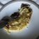 Cooksnap dari dewi rachma untuk resep Pisang owol