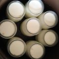 El cooksnap de Carmeta cuando hizo Yogurt desnatado con limón y avena.