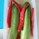 Cooksnap dari Ala Rumah Citra untuk resep Yachae Jangajji ( Vegetable Pickles )