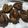 Anjali Tendulkar's cooksnap of when they made अळू वडी (alu vadi recipe in marathi).