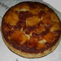 El cooksnap de Sandra sguera cuando hizo Torta invertida de manzana.