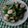 Cooksnap dari Henny Anggraeni untuk resep Tumis Okra