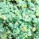 El cooksnap de Martina Muñoz cuando hizo Ensalada de Cuscús primaveral 🌿.
