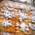 Hajjo's Cuisine 's cooksnap of when they made Basbousa(semovita cake).
