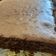 Cooksnap dari Nasyithah Salsabila untuk resep Bolu Coklat Panggang