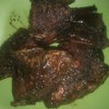 Cooksnap dari ahmad faishal untuk resep Ikan Nila Bakar Telfon "Memory Resep Pertamaku" HUT Cookpad ke-12 🧡🧡
