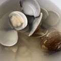潔米兒 的 蛤蜊湯 cooksnap