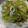 潘俊霖的(簡單料理) 的 芹菜炒透抽 cooksnap
