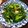Lin Shu Jhen 的 芥藍菜 cooksnap