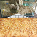 Cooksnap dari Gedenugraha Agusti untuk resep Prol Tape Keju
