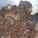 Cooksnap dari Novieta Sari untuk resep Beef teriyaki