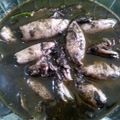 Cooksnap dari Fitha Handini untuk resep Cumi Tinta Hitam