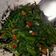 Cooksnap dari Dini Andrii untuk resep Oseng Kangkung Balacan