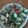 Cooksnap dari Momy Samora untuk resep Tumis kerang #taiwan food