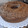 El cooksnap de Nadina Krogslund cuando hizo Carrot cake con frosting de queso.