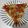El cooksnap de Paqui Gonzalez cuando hizo Pizza de coliflor.