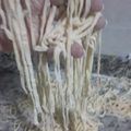 El cooksnap de elivacc.chivil cuando hizo Fideos caseros.