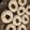 El cooksnap de Ana Clara cuando hizo Galletitas Rosquitos de vainilla o limón.