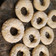 El cooksnap de Ana Clara cuando hizo Galletitas Rosquitos de vainilla o limón.