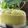 Cooksnap dari Nopitas untuk resep Puding alpukat komplit