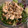 El cooksnap de Débora Cantero Martínez cuando hizo Ensalada de brotes tiernos, pollo asado y arándanos.